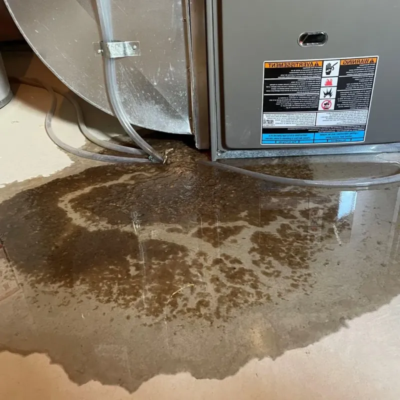 Pipe Burst and Leak Restoration in Lindon, UT